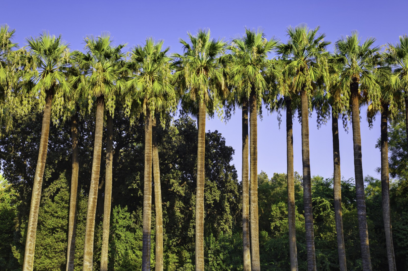 Aventura Sud Africa
